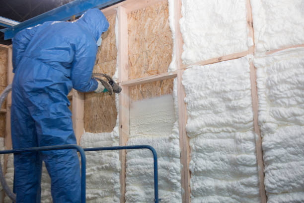 Eco-Friendly Insulation Solutions in Riverdale, CA